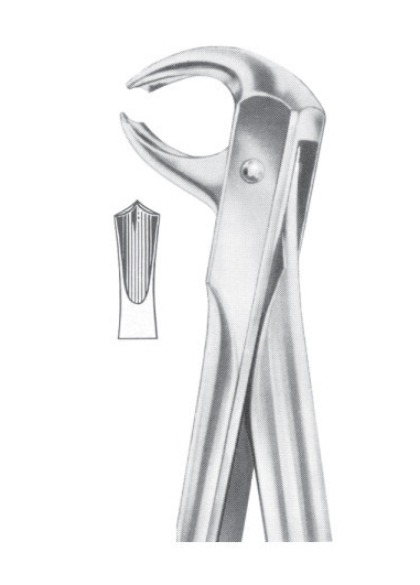 Extracting Forceps English Pattern