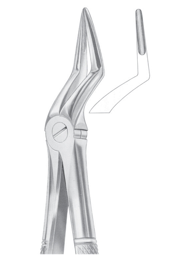 Extracting Forceps