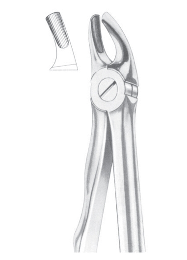 Extracting Forceps English Pattern