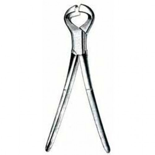 Dehorning Instrument For Claves