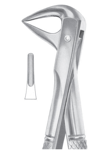 Extracting Forceps