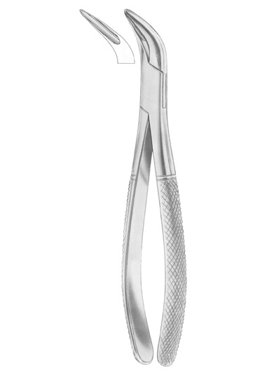 Extracting Forceps English Pattern