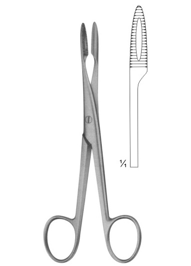Endodontic Forscepes, Tissue Forcepes, Haemostatic Forcepes, Towel Clamps