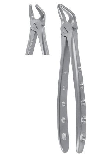 Extracting Forceps