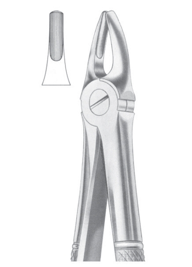 Extracting Forceps