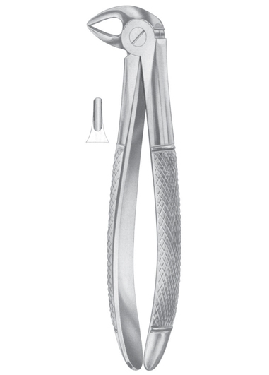 Extracting Forceps