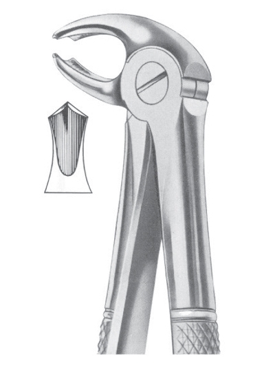 Extracting Forceps
