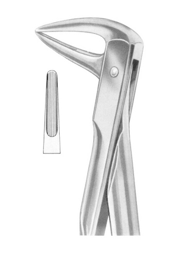 Extracting Forceps English Pattern