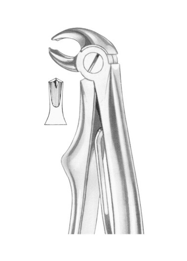 Extracting Forceps English Pattern