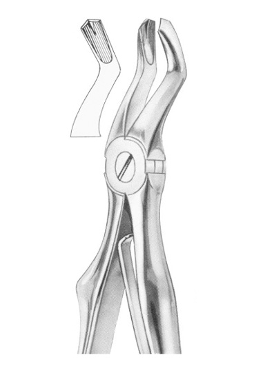 Extracting Forceps English Pattern