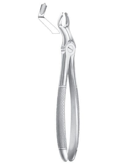 Extracting Forceps
