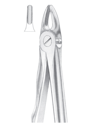 Extracting Forceps English Pattern