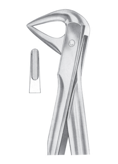 Extracting Forceps English Pattern