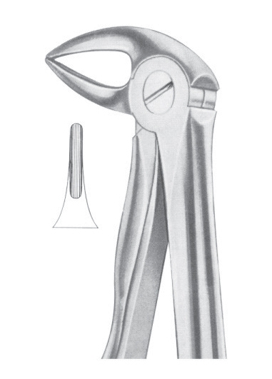 Extracting Forceps English Pattern