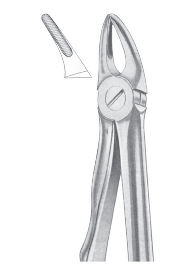 Extracting Forceps English Pattern