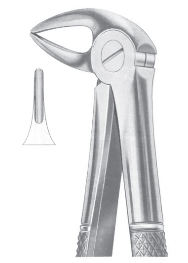Extracting Forceps