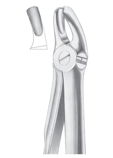 Extracting Forceps English Pattern
