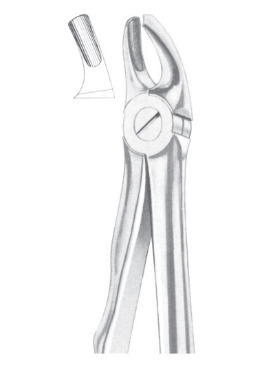 Extracting Forceps English Pattern
