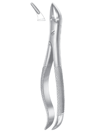 Extracting Forceps